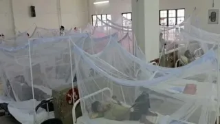 চট্টগ্রামে ৫০ দিনেই ডেঙ্গু আক্রান্ত ১১৯৯, ৫ বছরে ২২৩ মৃত্যু
